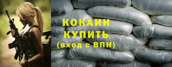 крисы Арсеньев